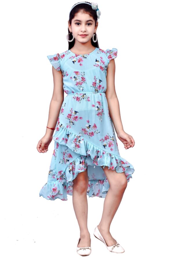 Arshia Fashions Frock A-Line Dress for Girls