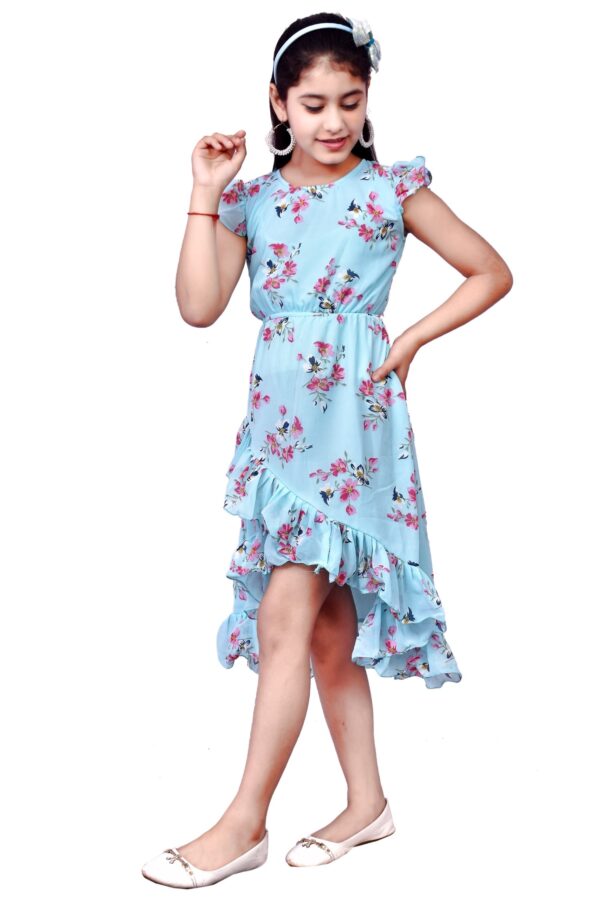 Arshia Fashions Frock A-Line Dress for Girls - Image 2