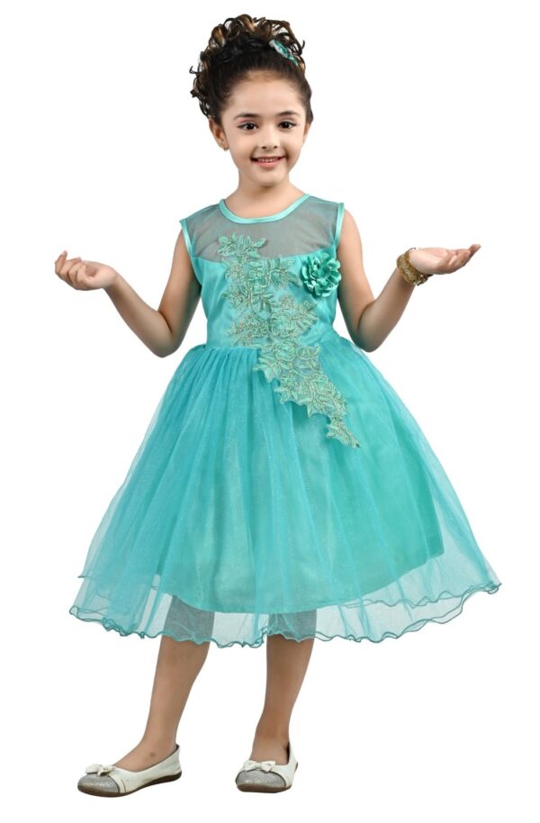 Arshia Fashions Girls Net Frock