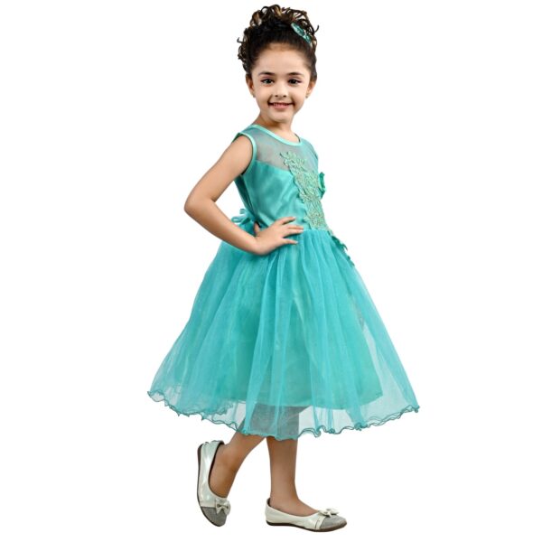 Arshia Fashions Girls Net Frock - Image 3