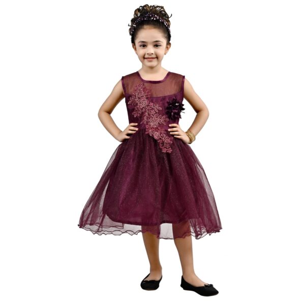 Arshia Fashions Girls Net Frock