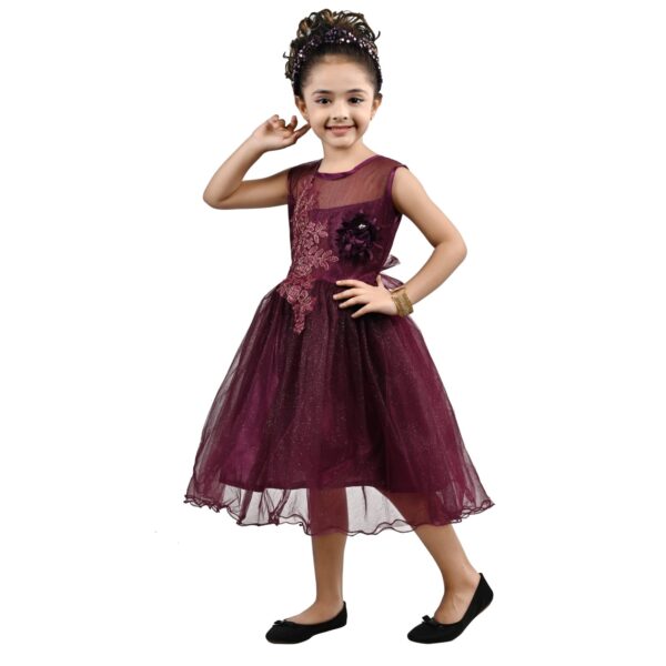 Arshia Fashions Girls Net Frock - Image 2