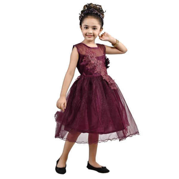 Arshia Fashions Girls Net Frock - Image 3