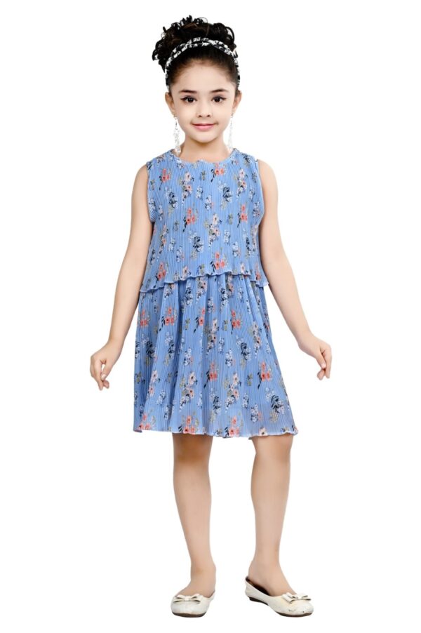 Arshia Fashions Frock Dress for Girls | Birthday Dress