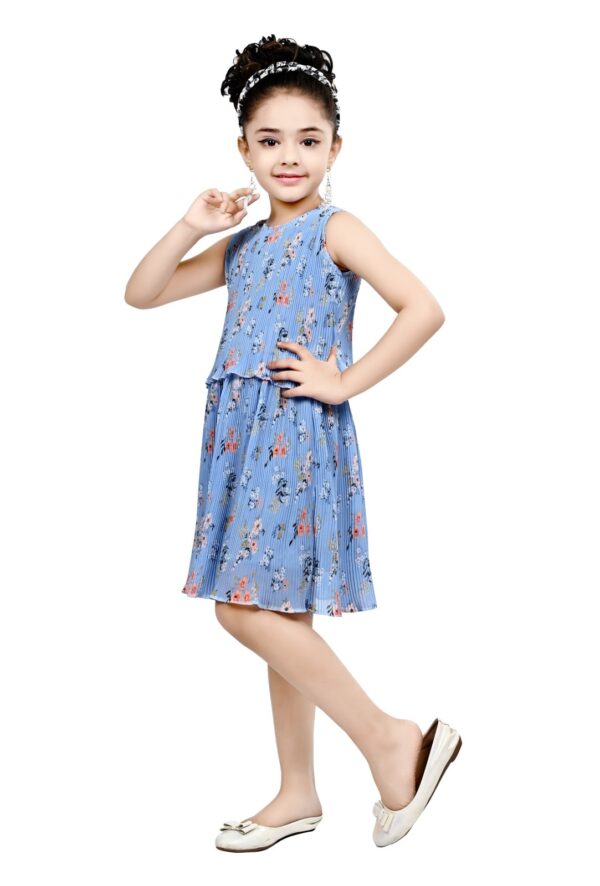 Arshia Fashions Frock Dress for Girls | Birthday Dress - Image 2