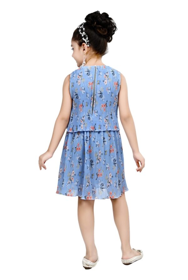 Arshia Fashions Frock Dress for Girls | Birthday Dress - Image 3