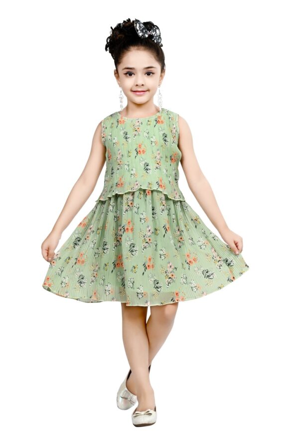 Arshia Fashions Frock Dress for Girls | Birthday Dress