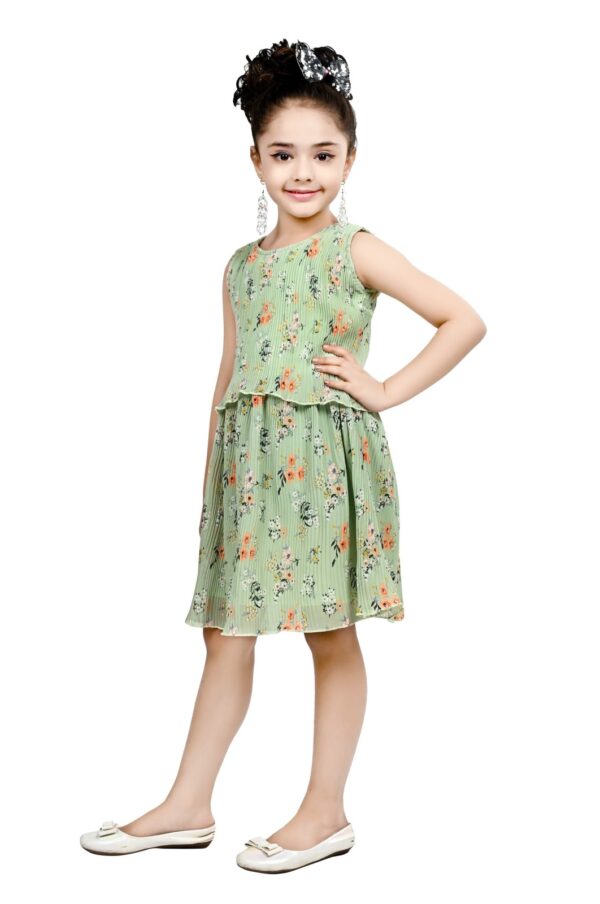 Arshia Fashions Frock Dress for Girls | Birthday Dress - Image 2