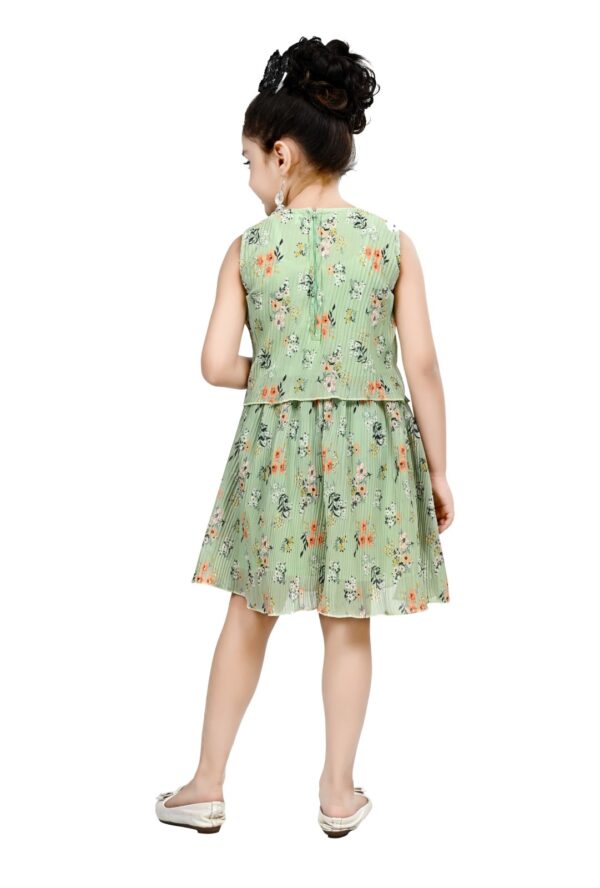 Arshia Fashions Frock Dress for Girls | Birthday Dress - Image 3