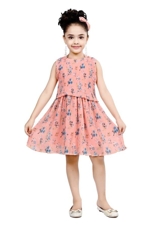 Arshia Fashions Frock Dress for Girls | Birthday Dress