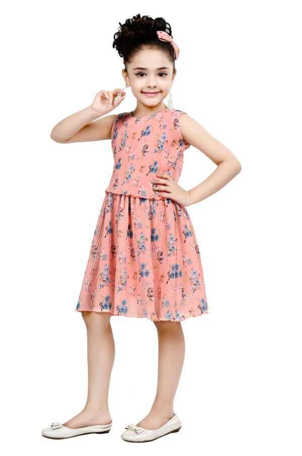 Arshia Fashions Frock Dress for Girls | Birthday Dress - Image 2