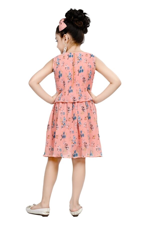 Arshia Fashions Frock Dress for Girls | Birthday Dress - Image 3