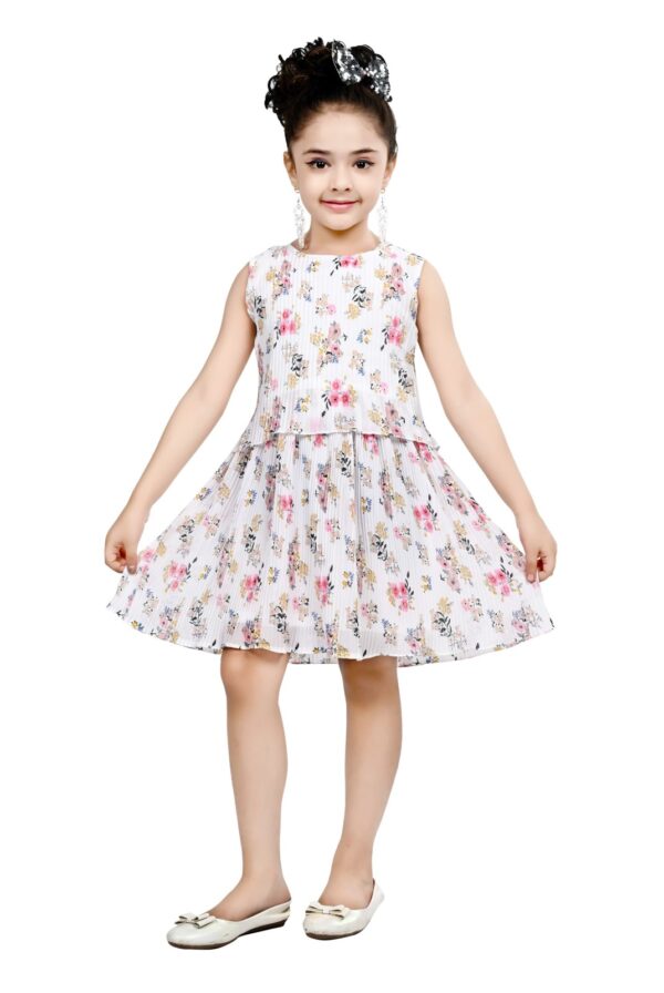 Arshia Fashions Frock Dress for Girls | Birthday Dress