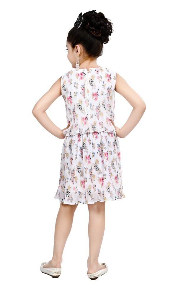 Arshia Fashions Frock Dress for Girls | Birthday Dress - Image 3