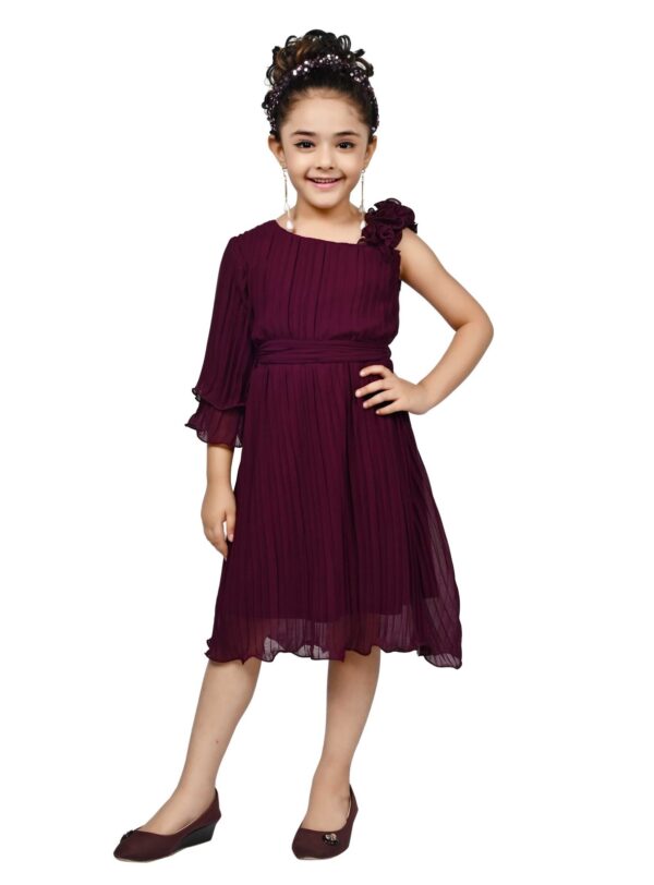 Arshia Fashions Frock Dress for Girls | Birthday Dress