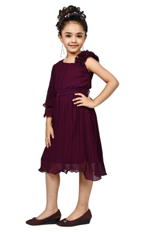 Arshia Fashions Frock Dress for Girls | Birthday Dress - Image 2